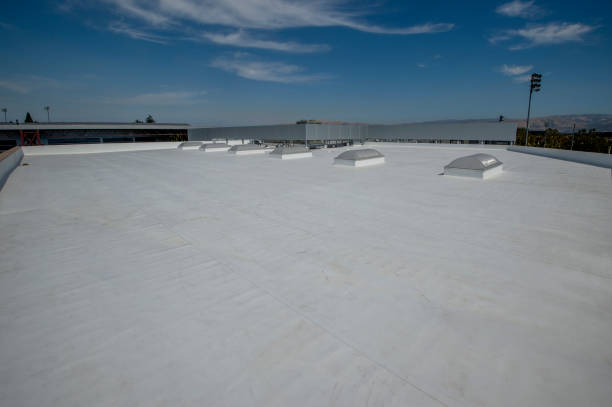Best Green or Eco-Friendly Roofing Solutions  in Lwa, CA