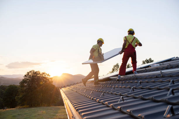 Best Roof Moss and Algae Removal  in Lwa, CA