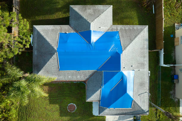 Best Roof Coating and Sealing  in Lwa, CA