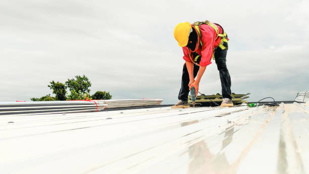 Best Roof Insulation Installation  in Lwa, CA